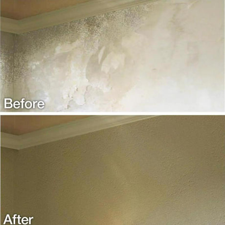 Homax Wall Texture White Oil-Based Wall and Ceiling Texture Paint 20 oz, Pack of 6