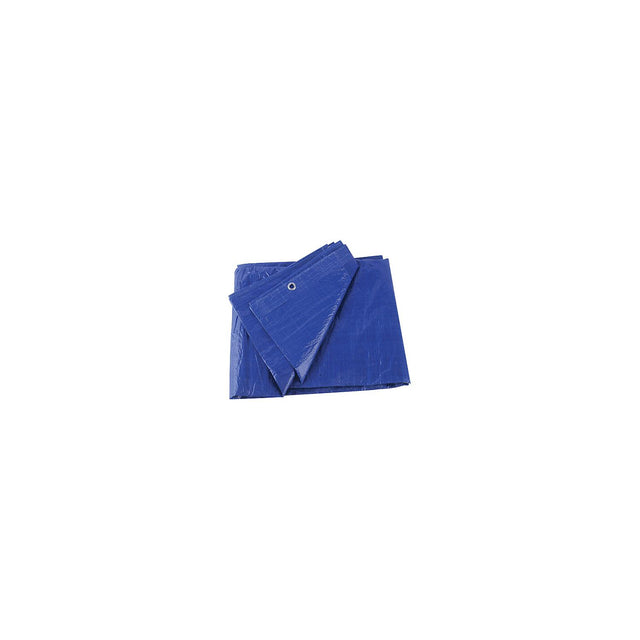 Blue Vinyl Tarp, 5' X 7'