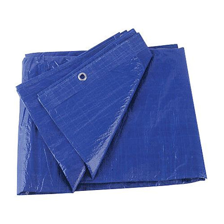 Blue Vinyl Tarp, 15' X 30'