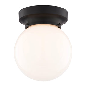 Boston Harbor OG24005 Ceiling Light, 1-Lamp, Matte Black Fixture