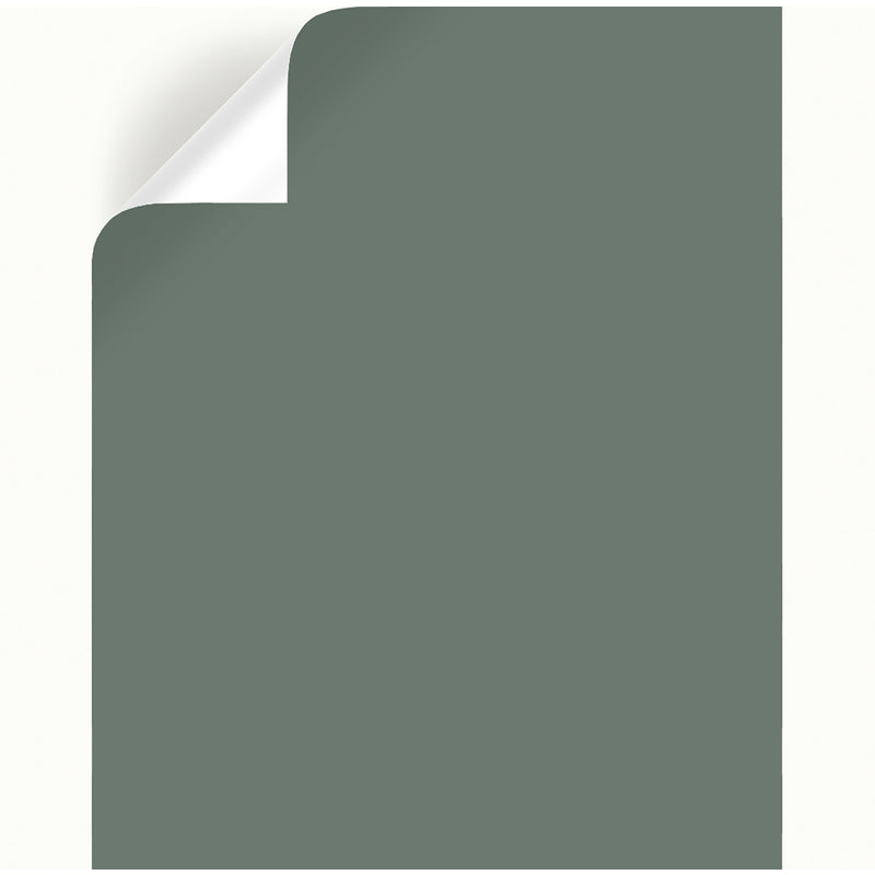 Magnolia Home by Joanna Gaines Luxe Peel & Stick Color Sample, Pack of 25