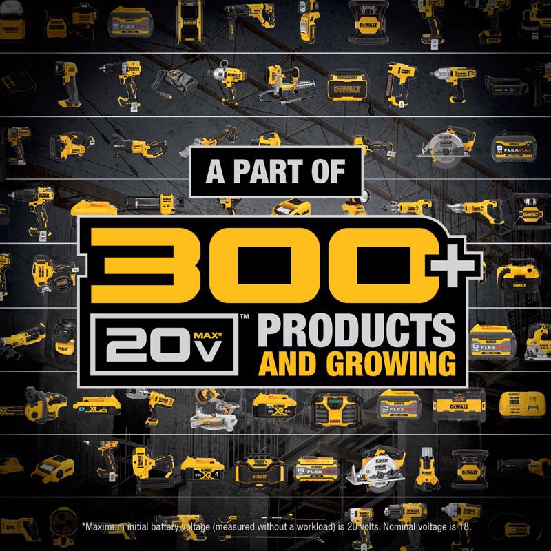 DeWalt 20V MAX DCB210-2 10 Ah Lithium-Ion Battery 2 pc