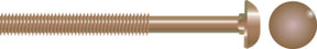 Carriage Bolt, 5/16-18 x 2-1/2"