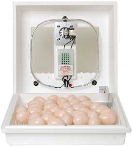 Little Giant 10300 Egg Incubator, 41 Egg, 99.5 deg F, 21 days Incubator Period, Styrofoam