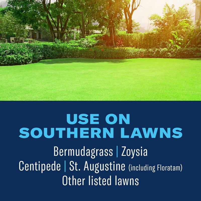 BioAdvanced 820159H 3-in-1 Weed and Feed Southern Lawn Plus Insect Killer, Granular, 10 lb, Pack of 45