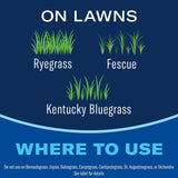BioAdvanced 820193E Ready-To-Use Lawn Weed and Crabgrass Killer, Liquid, Red Brown, 1.3 gal, Pack of 4