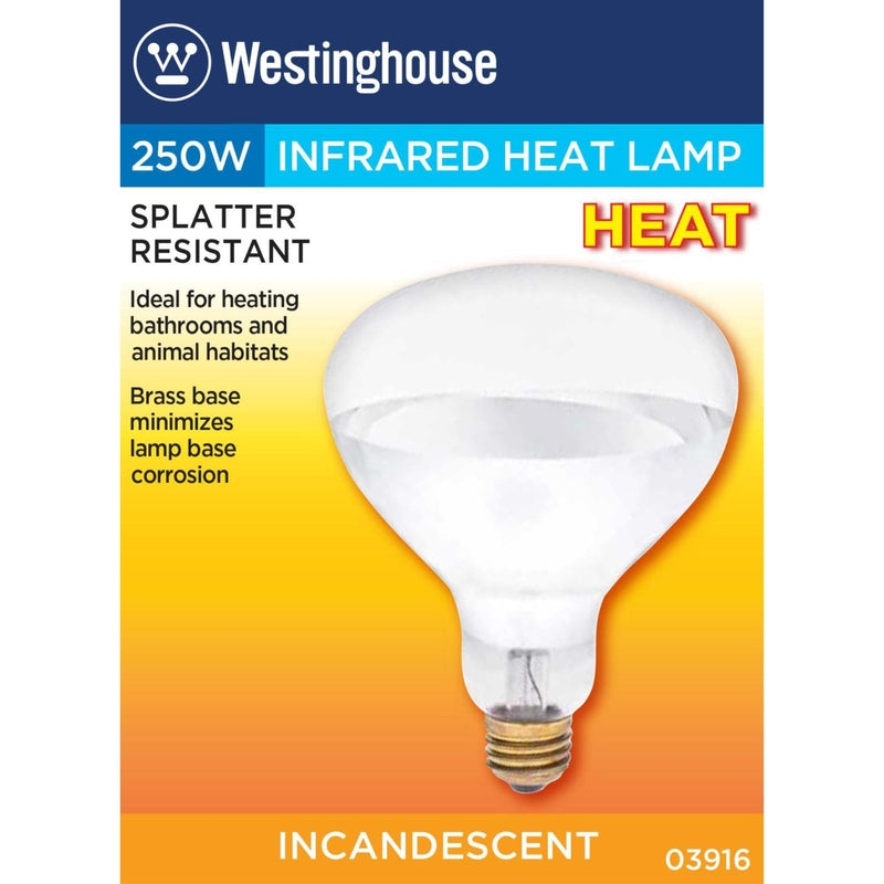Westinghouse 250 W R40 Reflector Incandescent Bulb E26 (Medium) White 1 pk, Pack of 6