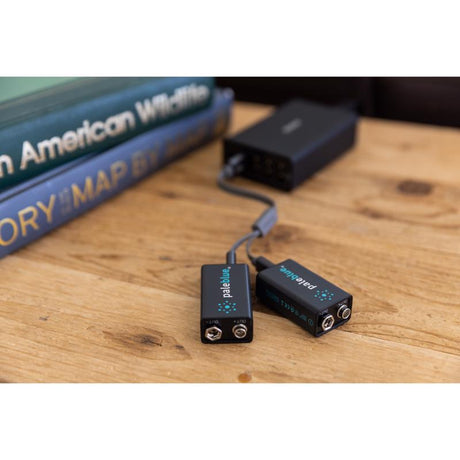 Pale Blue Earth 9-Volt Lithium Batteries 2 pk Clamshell