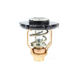 Sierra 3641 Yamaha Thermostat Kit