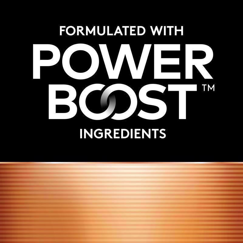 Duracell Coppertop AAA Alkaline Batteries 10 pk Carded