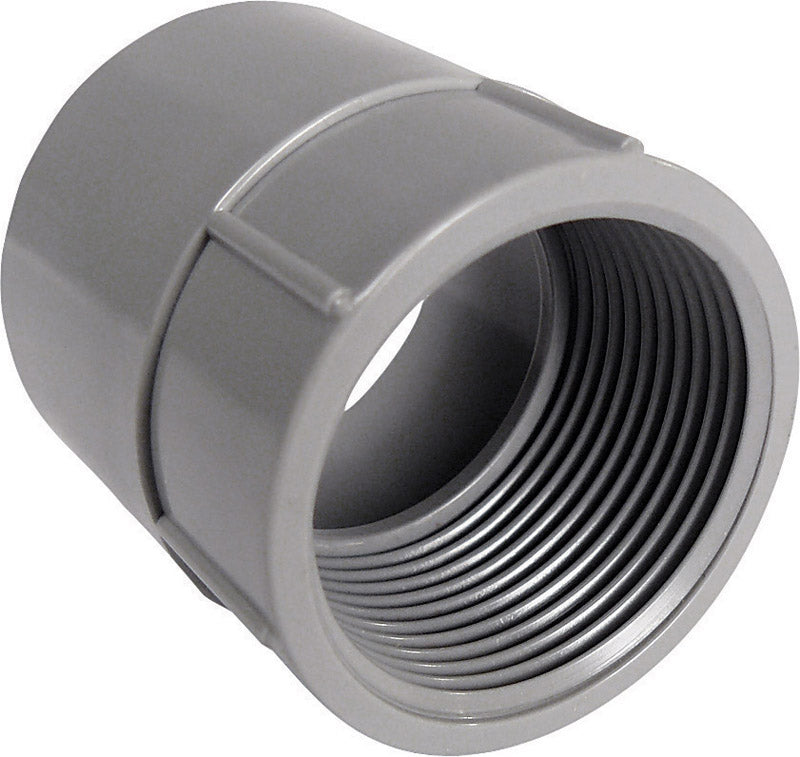 Cantex 1-1/4 in. D PVC Female Adapter For PVC 1 pk