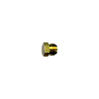 1/4IN SEALING PLUG