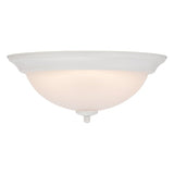 Boston Harbor OG24004WH Ceiling Light, LED Lamp, White Fixture, Powder-Coated Fixture