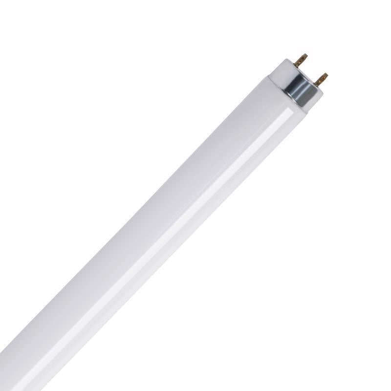 Feit Legacy Bulbs 15 W T8 1.1 in. D X 17.7 in. L Fluorescent Bulb Cool White Linear 4100 K 1 pk, Pack of 6