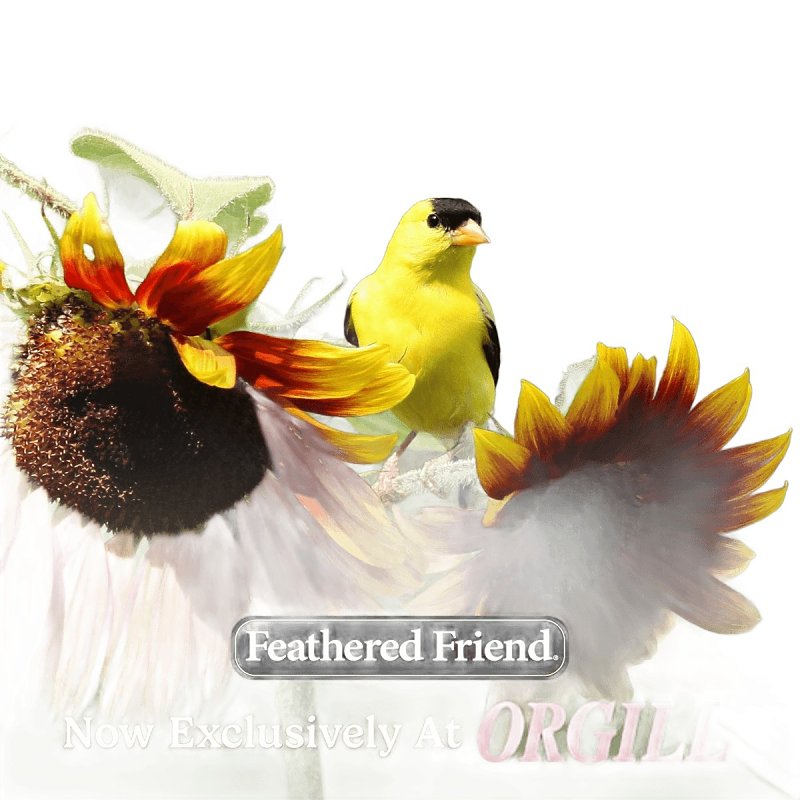 Feathered Friend Birdsnack Series 14391 Sunflower Seed Birdsnack, 20 lb Bag