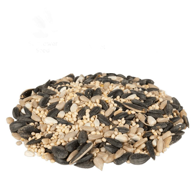 Feathered Friend 14407 Safflower Seed Flyers Choice, 40 lb Bag