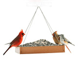 Feathered Friend 14407 Safflower Seed Flyers Choice, 40 lb Bag