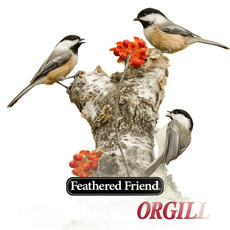 Feathered Friend 14415 Sunflower Seed Sunflower Hearts, 40 lb, Bag