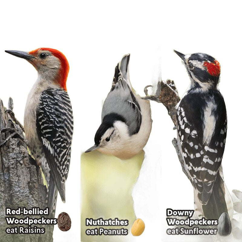 Feathered Friend 14384 Mixed Nuts Wild Bird Food, 24 oz, Seed Cake