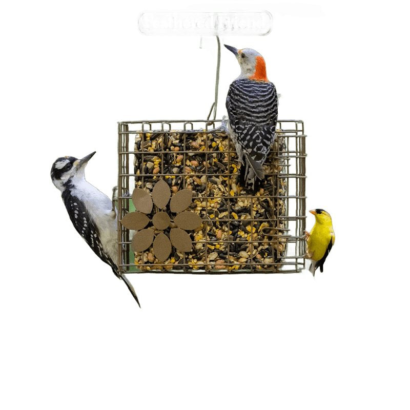 Feathered Friend 14384 Mixed Nuts Wild Bird Food, 24 oz, Seed Cake