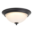 Boston Harbor OG24003 Ceiling Light, LED Lamp, Matte Black Fixture