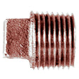 Bronze Square Head Plug, 1″