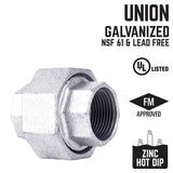 STZ Industries 3/8 in. FIP each X 3/8 in. D FIP Galvanized Malleable Iron Union