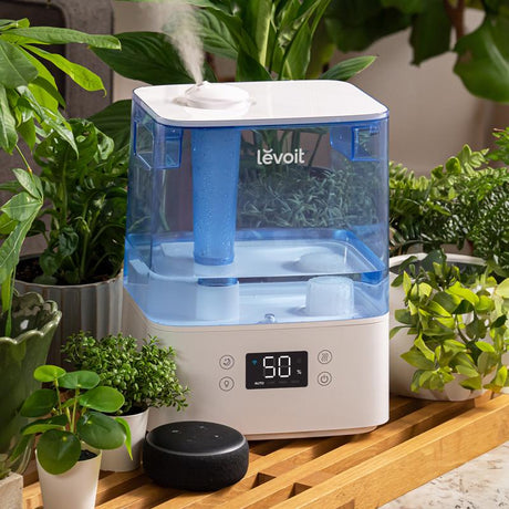 Levoit 1.58 gal 215 sq ft Digital Ultrasonic Humidifier