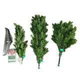 Hometown Holidays 357-6378TSL70LW5 Cedar Spruce Slim Tree, 7 ft H