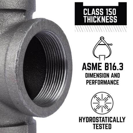 STZ Industries 2 in. FIP each X 2 in. D FIP Black Malleable Iron Union