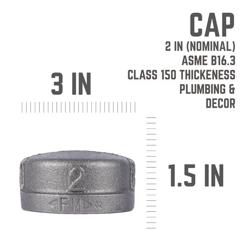 STZ Industries 2 in. FIP each Black Malleable Iron Cap