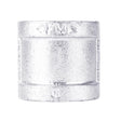 STZ Industries 1/8 in. FIP each X 1/8 in. D FIP Galvanized Malleable Iron Coupling