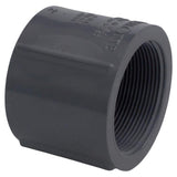 Charlotte Pipe Schedule 80 2 in. FPT X 2 in. D FPT PVC Coupling 1 pk