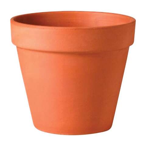 Deroma 2.4 in. H X 2.8 in. D Clay Standard Planter Terracotta, Pack of 48