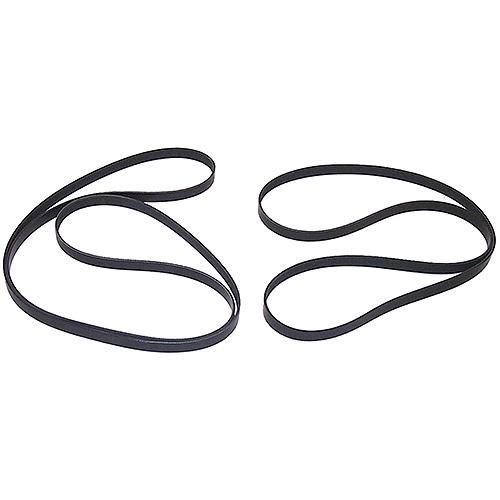 Serpentine Belt