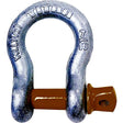 Hot Galvanized Bow Shackle, 7/8″