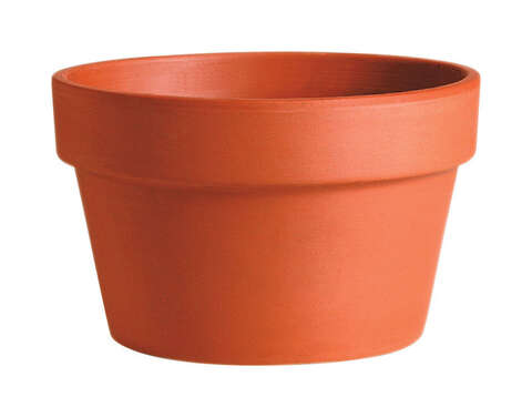 Deroma 5.9 in. H X 8.3 in. D Clay Azalea Planter Terracotta, Pack of 12