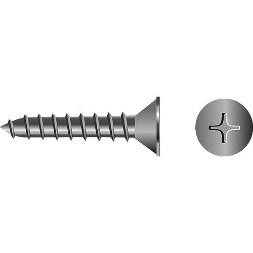 Phillips Tapping Screws - Flat Head, #8 x 3/4"