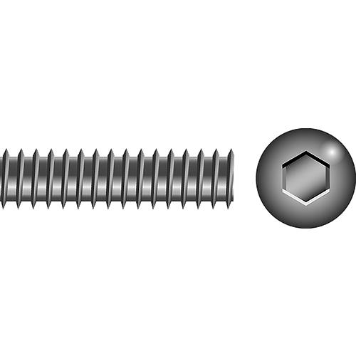 Socket Set Screw 10-24 x 1/4"