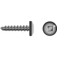Square Tapping Screw - Pan Head, #8 x 3/4"