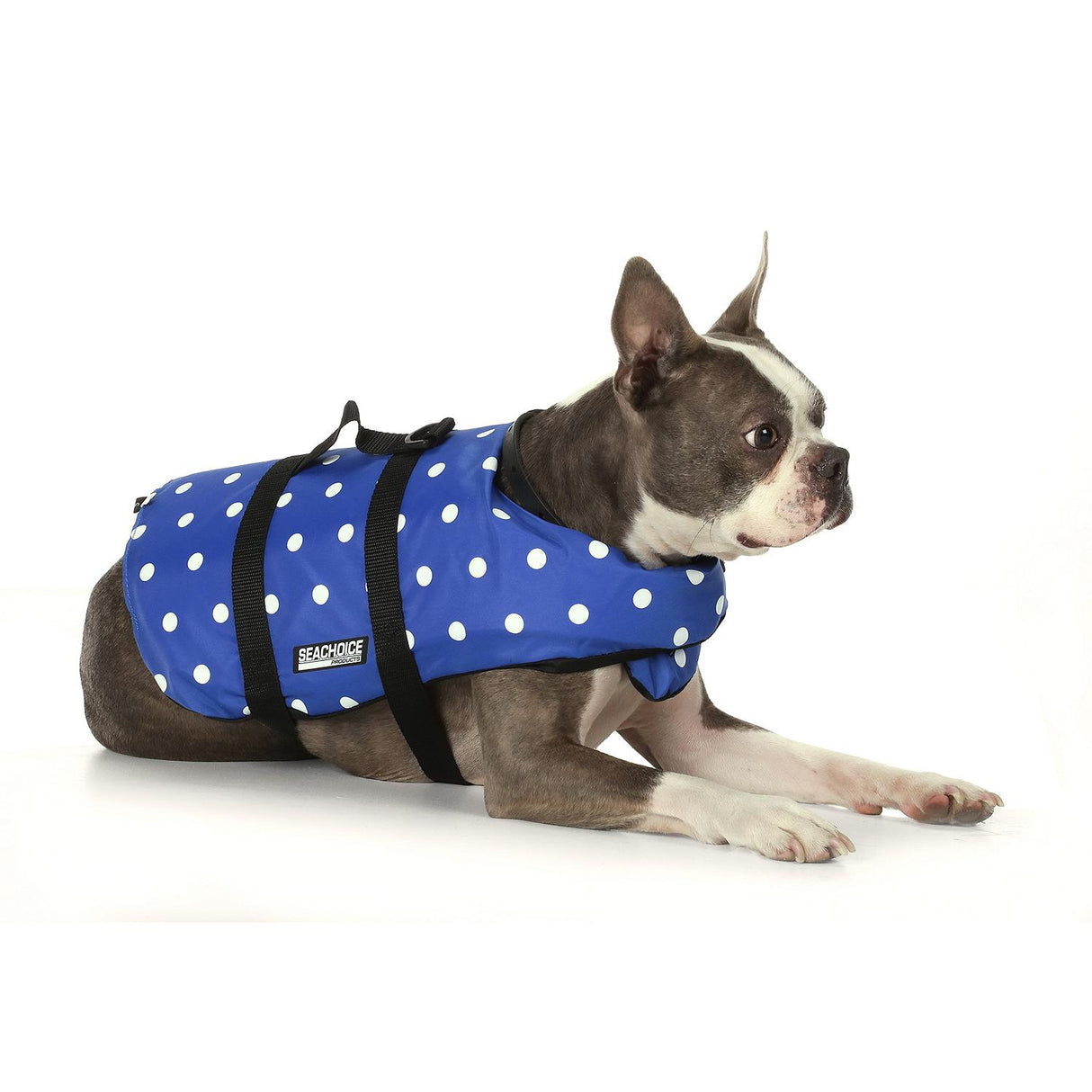 Seachoice 86280 Dog Life Vest - Blue Polka Dot, Sm