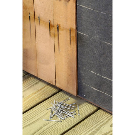 Simpson Strong-Tie 10D 3 in. Siding Coated Stainless Steel Nail Round Head 25 lb