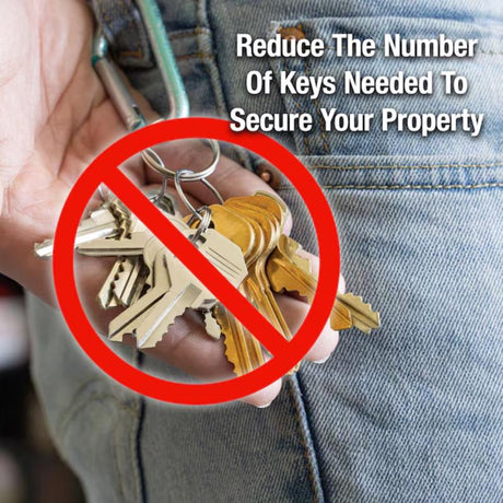 Master Lock 1-5/16 in. H X 1 in. W X 1-3/4 in. L Steel 4-Pin Cylinder Exterior Padlock, Pack of 6