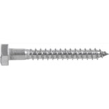 HILLMAN 5/16 in. X 2-1/2 in. L Hex Stainless Steel Lag Screw 25 pk