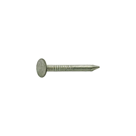 Grip-Rite 1-3/4 in. Roofing Hot-Dipped Galvanized Steel Nail Flat Head 1 lb, Pack of 12