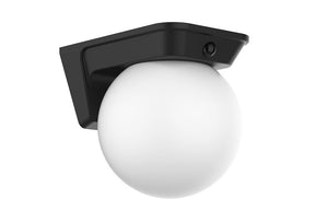 1000 LUMEN LED SOLAR POWER