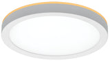 ETI LowPro Series 56568114 Ceiling Light with Night Light, 120 V, 12 W, LED Lamp, 800 Lumens, White Fixture