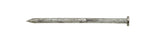 Ace 8D 2-1/2 in. Common Hot-Dipped Galvanized Steel Nail Flat Head 5 lb