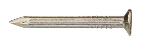 Ace 6D 2 in. Masonry Bright Steel Nail Flat Head 1 lb