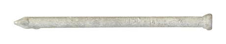 Ace 4D 1-1/2 in. Finishing Hot-Dipped Galvanized Steel Nail Countersunk Head 1 lb